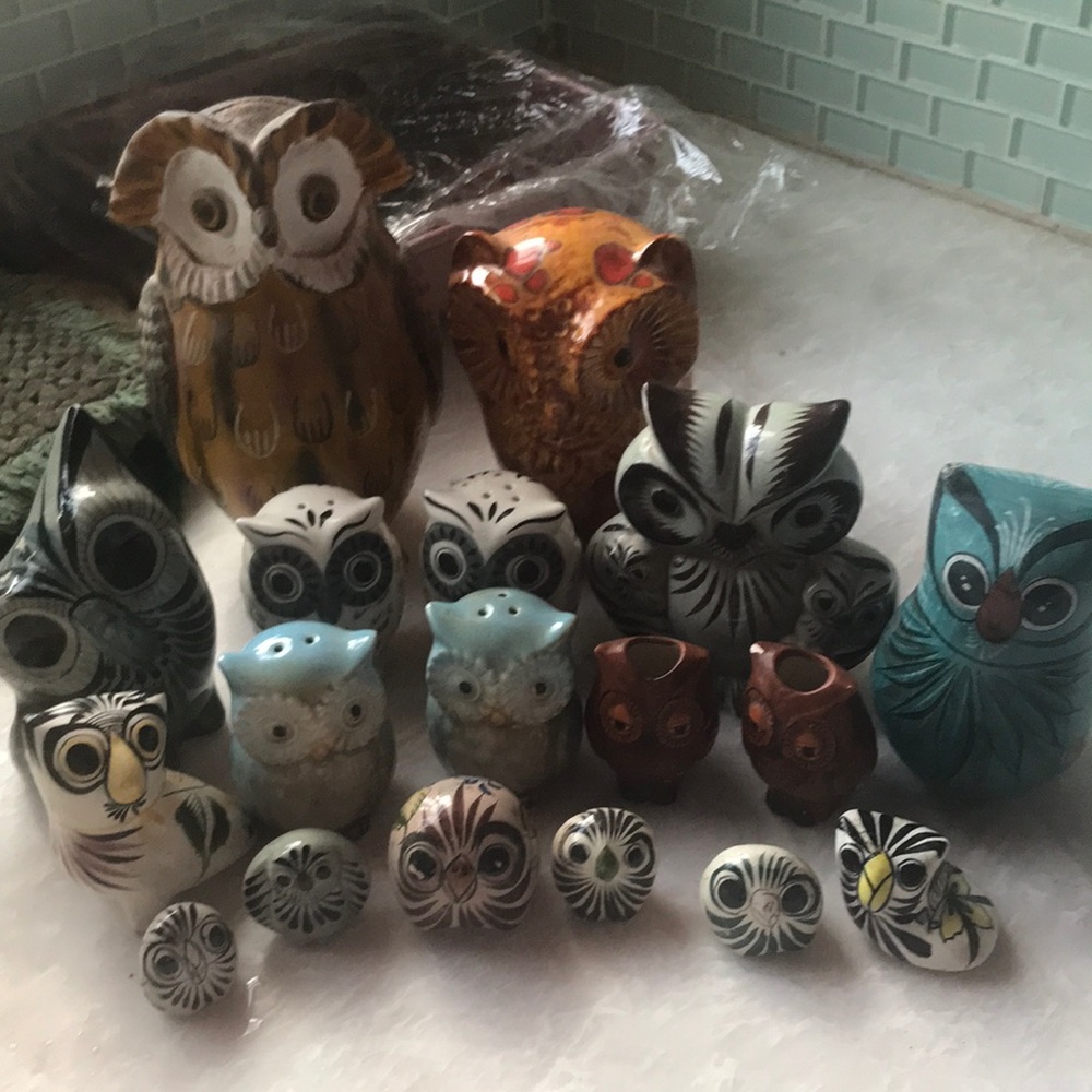 Owl Adoption